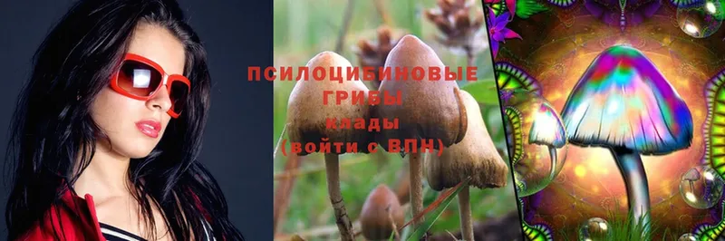 Галлюциногенные грибы Psilocybine cubensis  Красноуфимск 